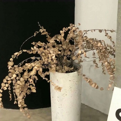 郁南福瑞交流群